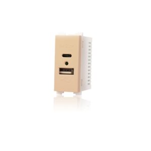 بريزة USB- TYPE C بيج