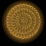 ⁦بانل بلفونيرة 36وات اضاءة وورم 3 دي داخل الحائط جسم الومنيوم 3000 كيلفن - 3600ليومن - 25000ساعة عمل - درجة وضوح اللون 85 ضمان 30شهر⁩ - الصورة ⁦2⁩